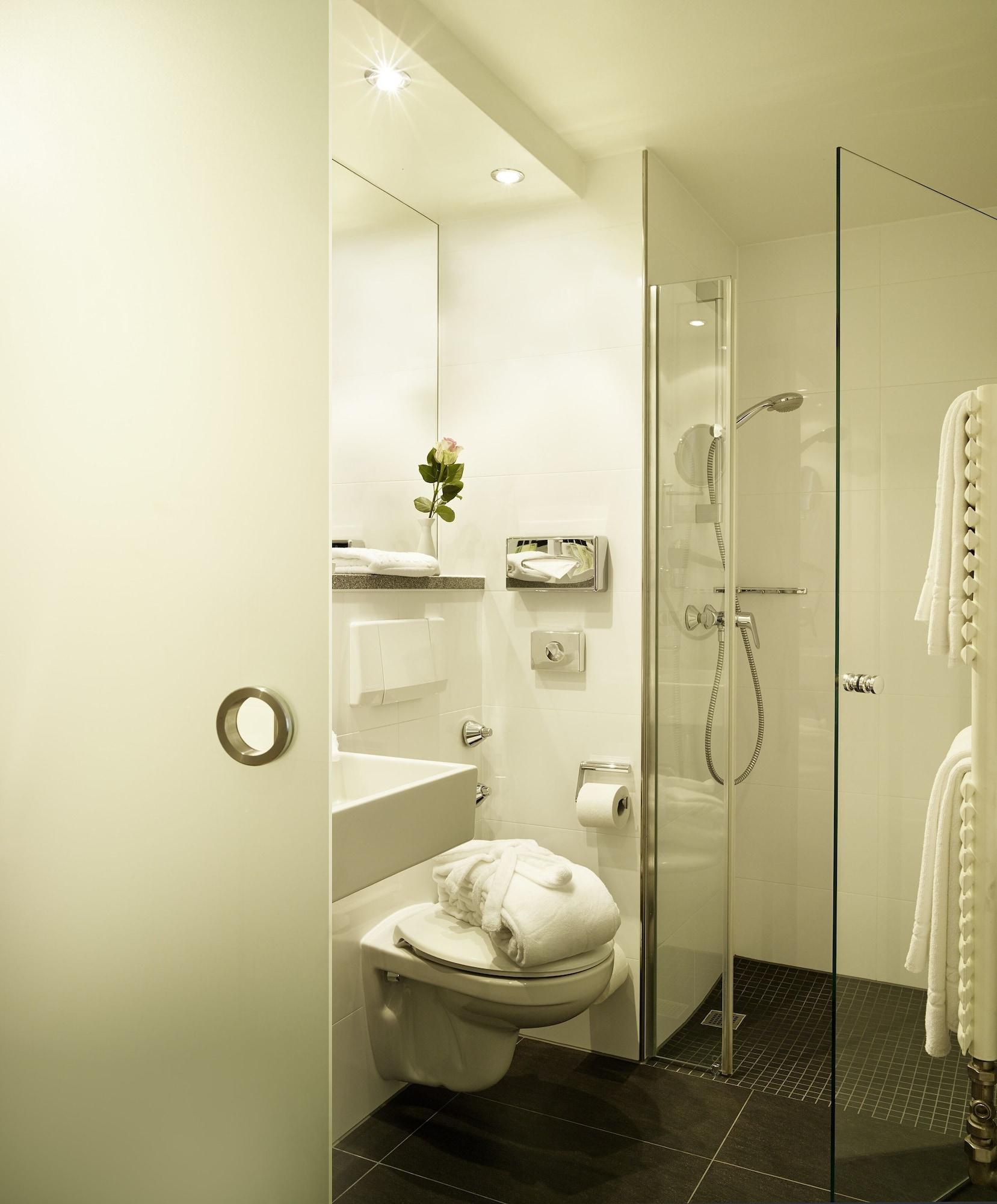 Stadt 4* Freiburg im Breisgau